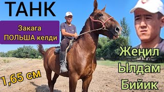 ТАНК деп коёт Зака