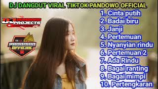 LAGU TERPOPULER 2023 SAAT INI TIKTOK !! CINTA PUTIH BADAI BIRU