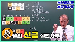 [중급] 203강 진(辰)월의 신금 실전사주