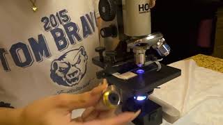 CMorales Bio 225 Week 3 Video