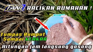 TUMPAS RUMPUT SAMPAI KEAKARNYA HITUNGAN JAM LANGSUNG GOSONG - cara agar rumput cepat mati | Tani 7