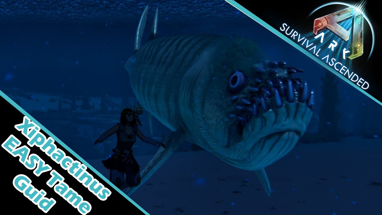XIPHACTINUS - TAME GUIDE  UND TRAP 2025 - ALLES was du wissen musst | Ark Survival Ascended