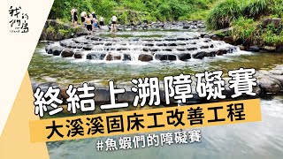 【溪流整治】終結上溯障礙賽大溪溪固床工改善工程 (我們的島 1166集 20220725)