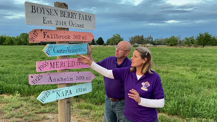 Rudy's Original Boysenberry -- The 100 Year Journey