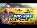 Що насправді коїться в агросекторі України?