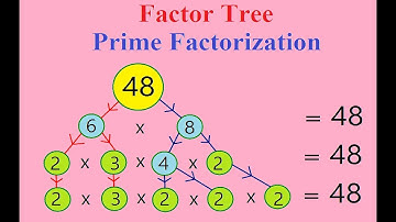 What are Factors & how to prime Factorize them?