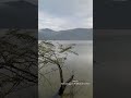 Raindrops falling on a lake in the Atlantic rainforest *Sound on #brazil #brasil #mataatlântica