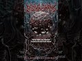 "INFECTING THE SWARM" Technical Brutal Death Metal #death #brutal #technical #deathmetalpromotion
