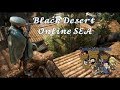 Dodge Mishu Dodge! | Danny R plays BDO #8