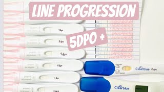 PREGNANCY TEST LINE PROGRESSION | 5-15 DPO