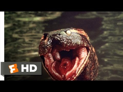 Thumb of Anaconda video