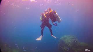 Celebrity jess first dive in redang(2) Net Worth