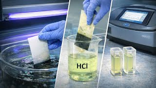 Regeneration of PVDF Membrane Using UV Light and HCl Desorption for Antibiotic Removal