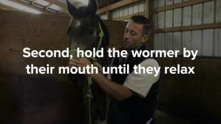 Worming the hard to worm horse in 5 steps