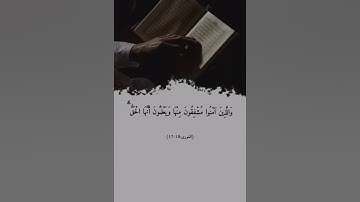 ﴿ اللَّهُ الَّذِي أَنزَلَ الْكِتَابَ بِالْحَقِّ وَالْمِيزَانَ ۗ) القارئ عبد الله الموسى