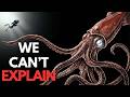 Why Scientists Still Can't Solve the Colossal Squid