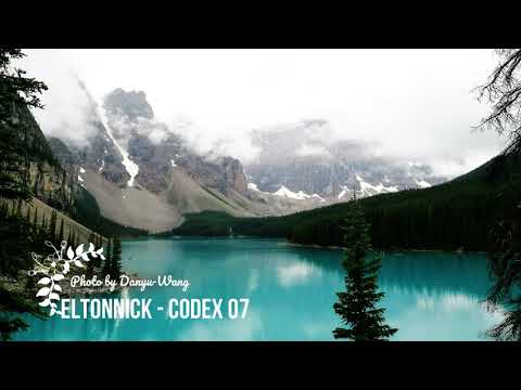 Eltonnick - Codex 07