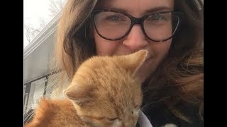 Дрожавший от холода котёнок прыгнул женщине прямо на руки и переехал в собственный дом Дрожавший от холода котёнок прыгнул женщине прямо на руки и переехал в собственный дом