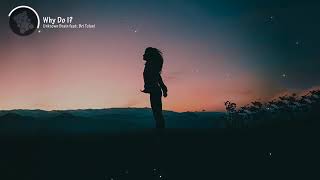 Unknown Brain   Why Do I Feat Bri Tolani S 