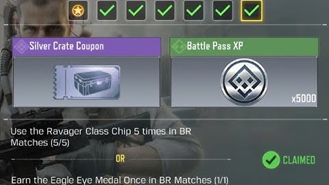 Call Of Duty Mobile Use the Ravager Class Chip 5 times in BR Matches Task Complete