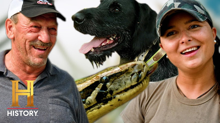 Hunting Dogs Track Down Snakes?! | Swamp People: Serpent Invasion (S5)