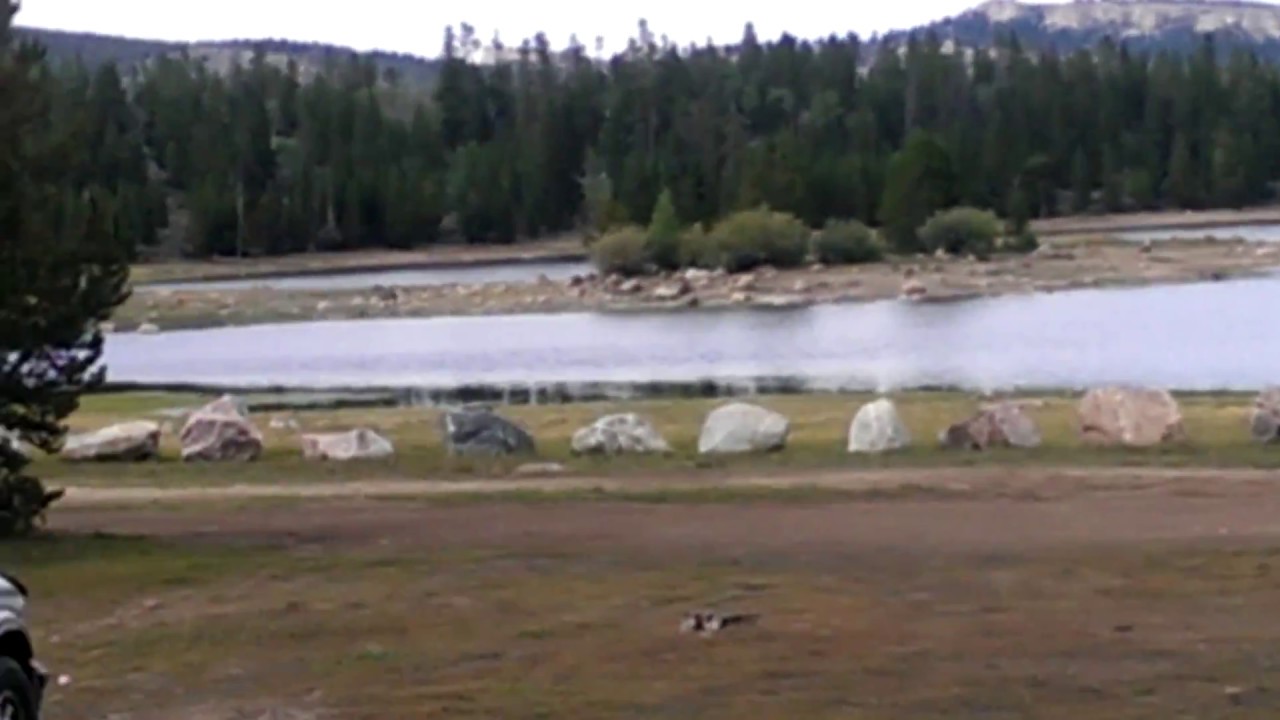 Cowboy Cattle Roundup Open Range Free Camping Frye Lake Shoshone