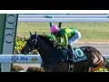 【競馬ファン必見】サトノシャイニングの全レースハイライト