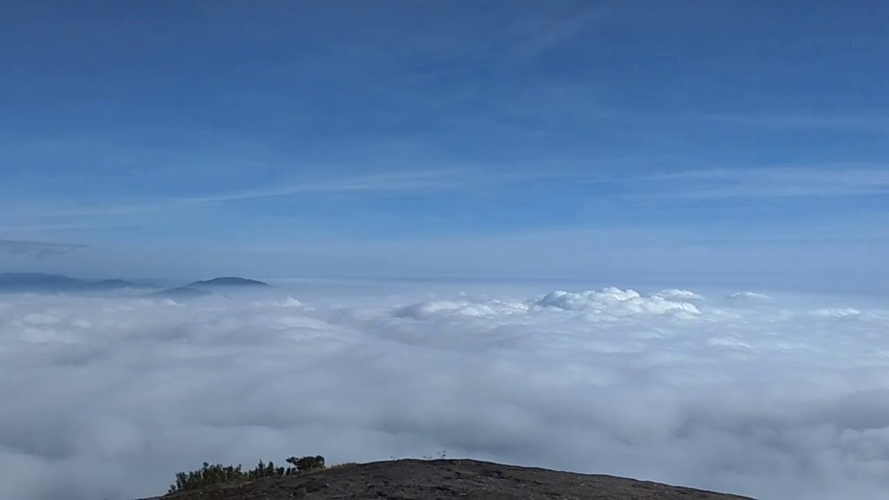 Agasthyarkoodam Peak on 14 Jan 2019