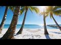 Beach Hammock Sensory ASMR. Relax by the beach, read and fall asleep to the sound of the ocean