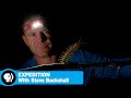 Exploration Team's Jungle Experience