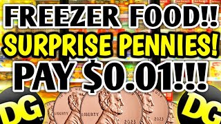 🤑PAY $.01! PENNY FOOD! SURPRISE PENNIES!! DOLLAR GENERAL PENNY LIST! PENNY SHOPPING AT DG!