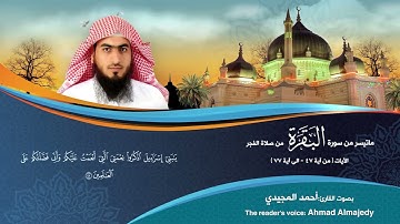 تلاوة هادئة من سورة البقرة (من صلاة الفجر)| للقارئ الشيخ : أحمد بن مهيوب المجيدي