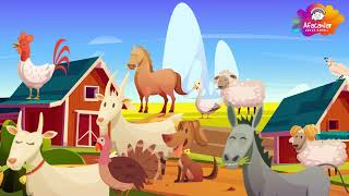 Çiftlik Hayvanları Ve İngilizce İsimleri Gerçek Hayvan Sesleri Hayvanları Tanıyalım İnek, Eşek