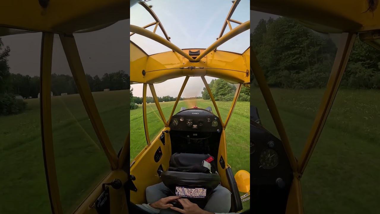 Avoiding Deer on the runway at Dusk in the Cub #aviation #landing #pilot #fly