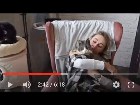 Video: „Pet Scoop“: įgulos išgelbės katę ir šunį iš N.Y.