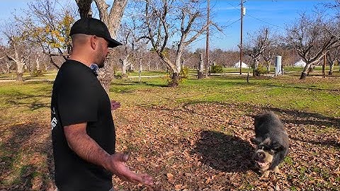 Day in the Life of a RV Technician