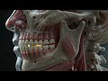 Break down of swallowing food