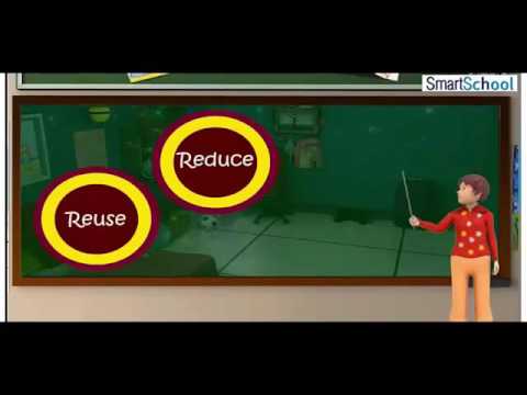 STUDYNDEALS CLASS 4 EVS - YouTube