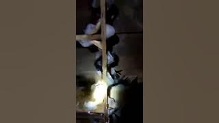 Full house!! Salah 1 bukti suara akau nampak dari ruang inap