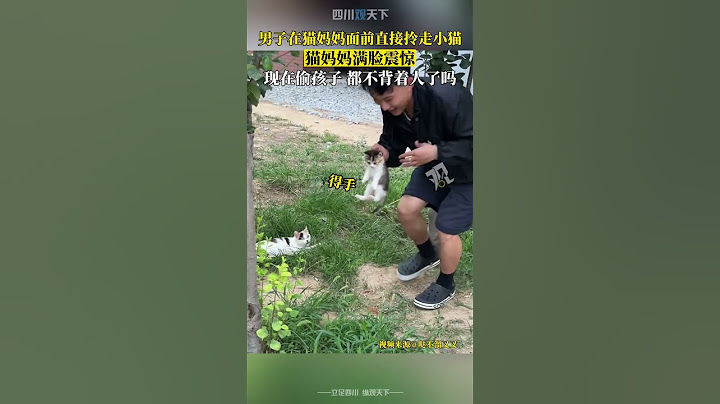 我孩子呢？男子在貓媽媽面前直接拎走小貓，貓媽媽滿臉震驚！