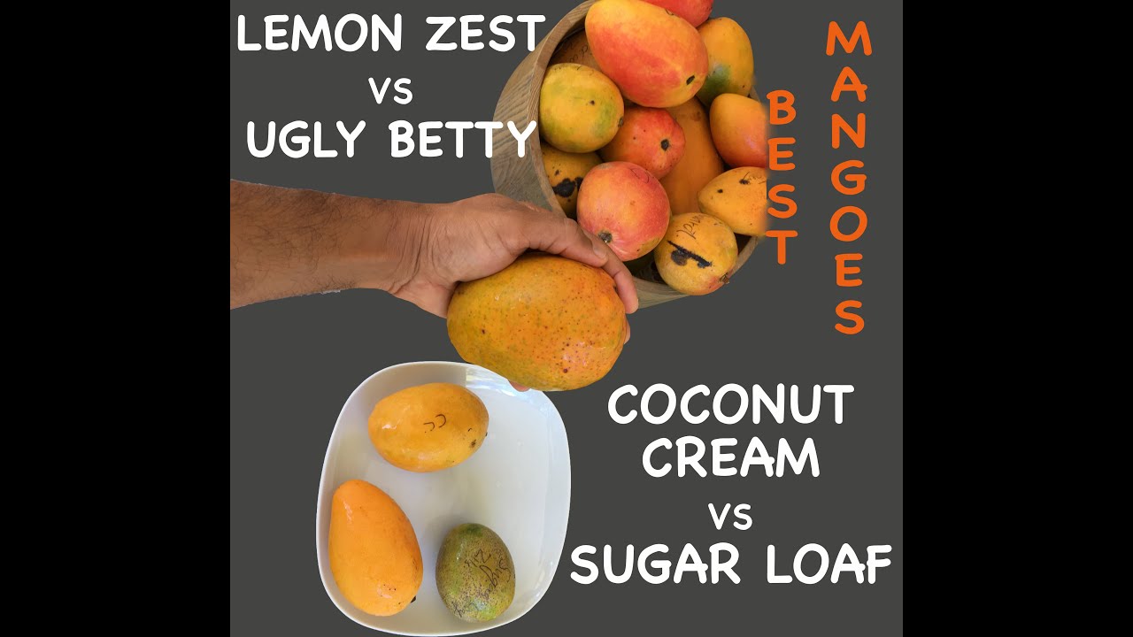 Дегустация манго 2020: «Сахарная голова», «Дурнушка Бетти», «Лимонная цедра и кокосовый крем»