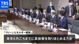 「クリーンエネルギー戦略」検討開始 来年６月に具体策
