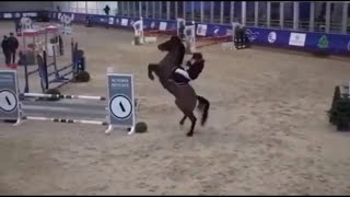 Лошади: Упал? Вставай и садись обратно в седло!/Horses: Fell? Get up and get back in the saddle!