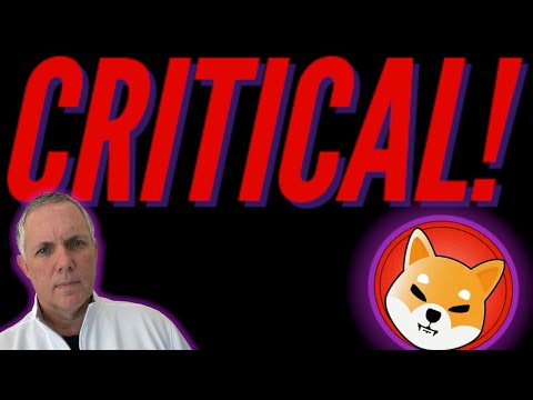 SHIBA INU - THIS IS A CRITICAL TIME!