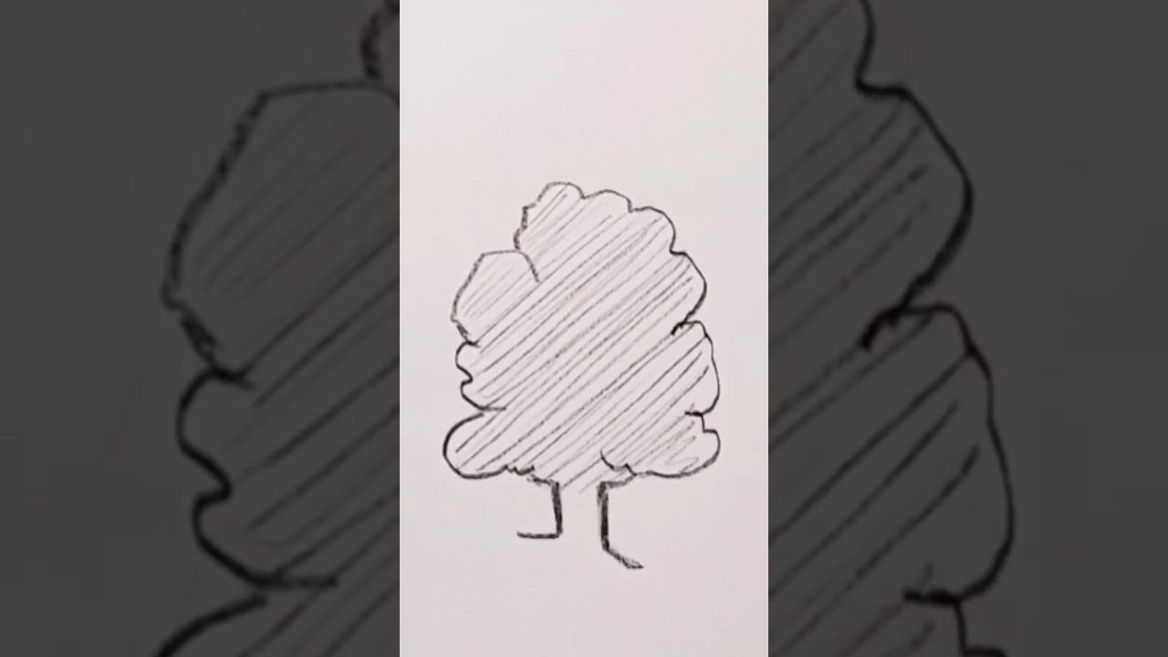 How to draw a maple tree step by step with easy fast way