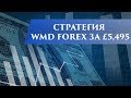 WMD FOREX - YouTube