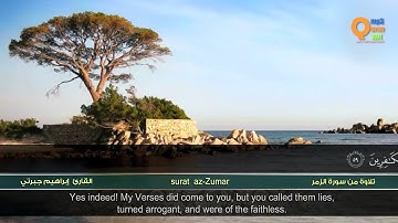 من سورة الزمر   القارئ إبراهيم جبرتي   HD   Ibrahim Jabarti   Surat az Zumar''''