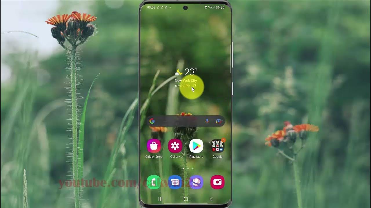 How to see apps have do not disturb permission in Samsung Galaxy S21