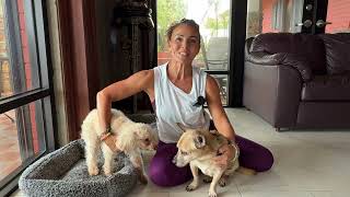 My Pet Story: Clare And Her Crew Of Four-legged Furbabies