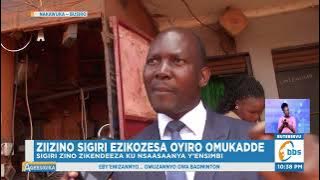 Ziizino Sigiri Ezikozesa Oyiro Omukadde , Abazikola Bagamba Zitaasa Obutondebwensi